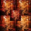 Professional calm fall photography toning applied using Calm Autumn PS action.