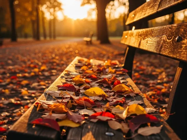 Muted autumn color grading and soft warm effect created with Calming Autumn Photoshop Action.