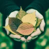 Professionally enhanced image with warm earthy undertones and rich textures created using Earth and Soul Lightroom Presets.