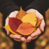Professionally enhanced image with warm earthy undertones and rich textures created using Earth and Soul Lightroom Presets.