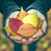 Professionally enhanced image with warm earthy undertones and rich textures created using Earth and Soul Lightroom Presets.
