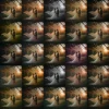 Elegant wedding photography color grading bundle featuring 25 unique professional actions.