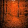 Warm autumn color grading effect created with Fall Paint Photoshop Action.