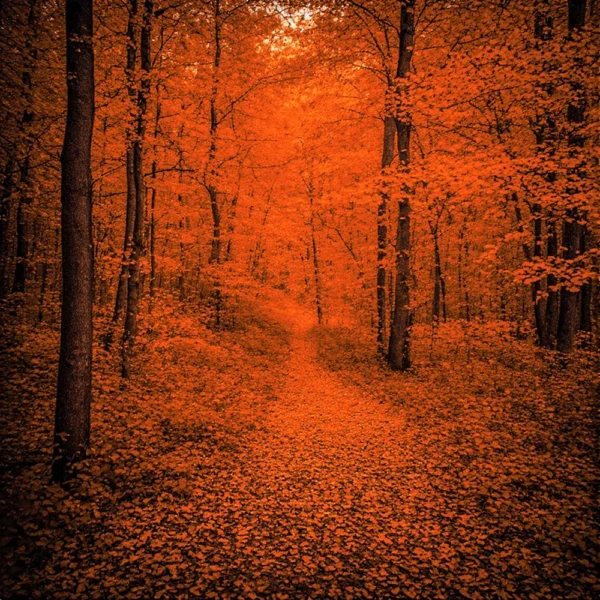 Warm autumn color grading effect created with Fall Paint Photoshop Action.