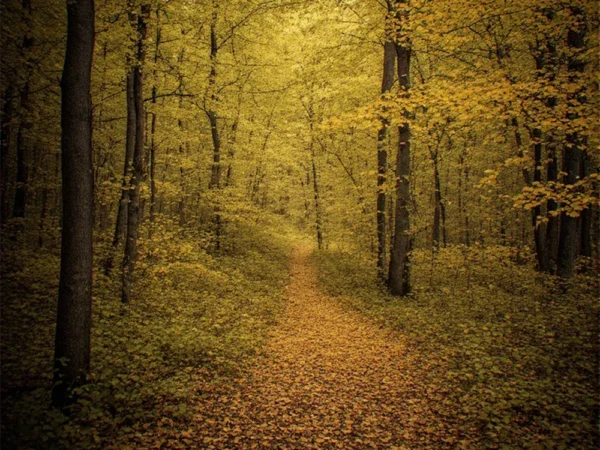 Warm autumn color grading effect created with Fall Paint Photoshop Action.