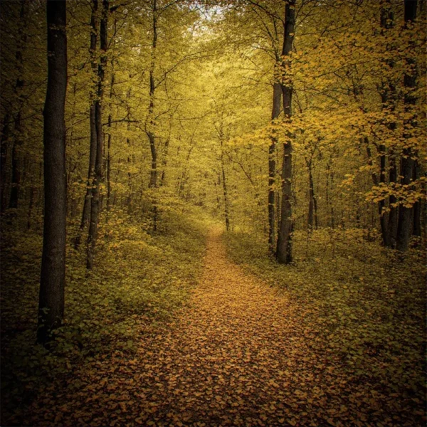 Warm autumn color grading effect created with Fall Paint Photoshop Action.