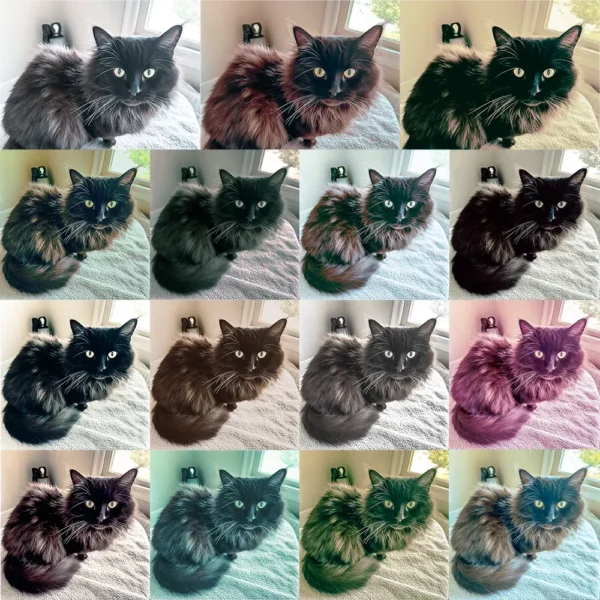 Professional atmospheric photo editing result applied using Feelings Collection PS action.