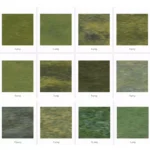 Green Palette Background