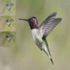 Modern Oil Paint PS Action