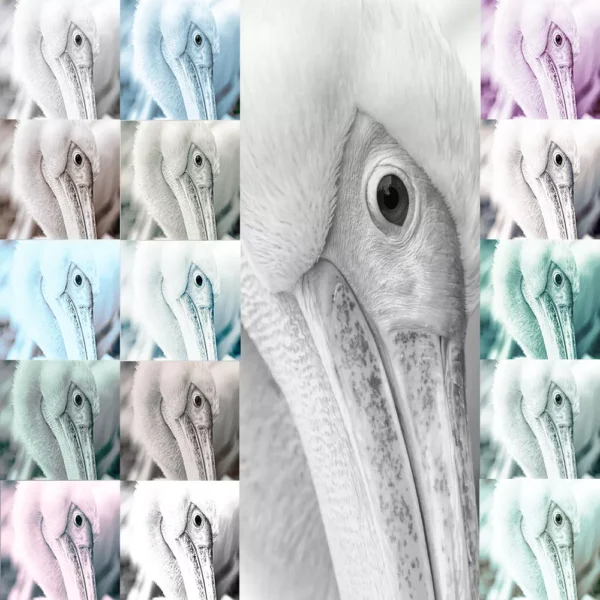 Mood Collection PS Action