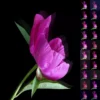 Perfect Recoloring Effects PS Action