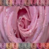Perfect Recoloring Effects PS Action